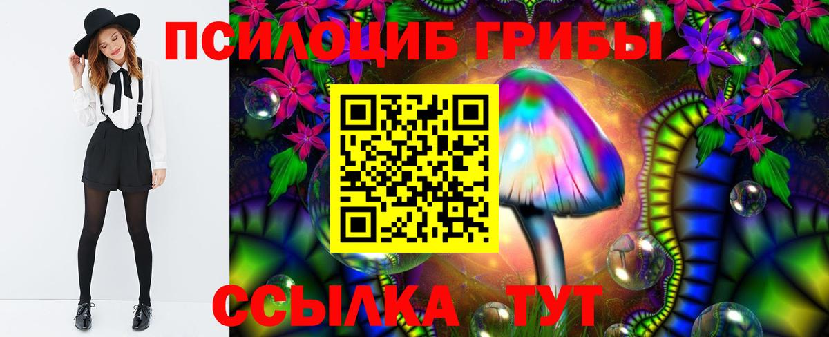 Псилоцибиновые грибы Cubensis  Псилоцибиновые грибы Cubensis  Вход с VPN  Барнаул 