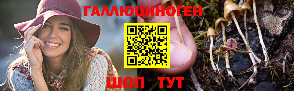 Галлюциногенные грибы MAGIC MUSHROOMS Барнаул